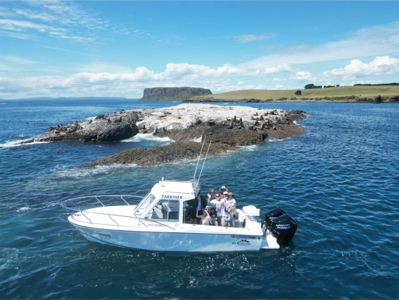 a boat on the water