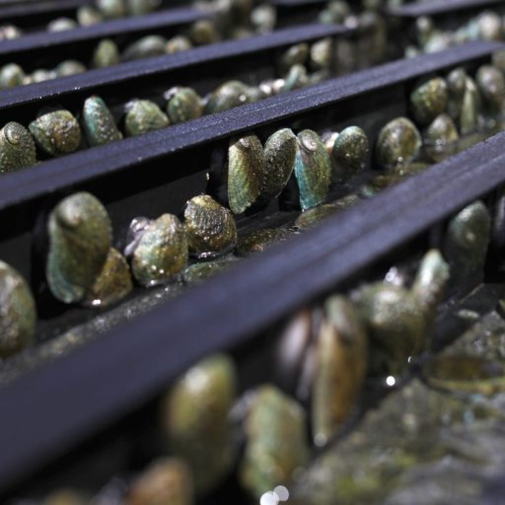 3FA_0195a-r2i5btknrkrc45mv81cjgnjs5ry646jyxm1uzu4g00