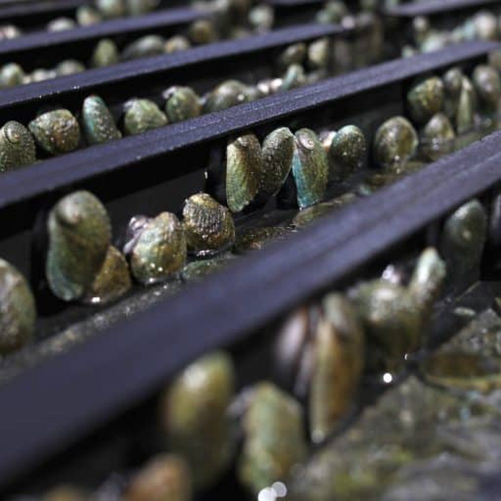 3FA_0195a-r2i5btknrkrc45mv81cjgnjs5ry646jyxm1uzu4g00