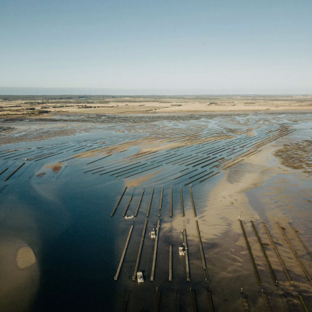 691387d42fc0e55696766041f7fddaaa