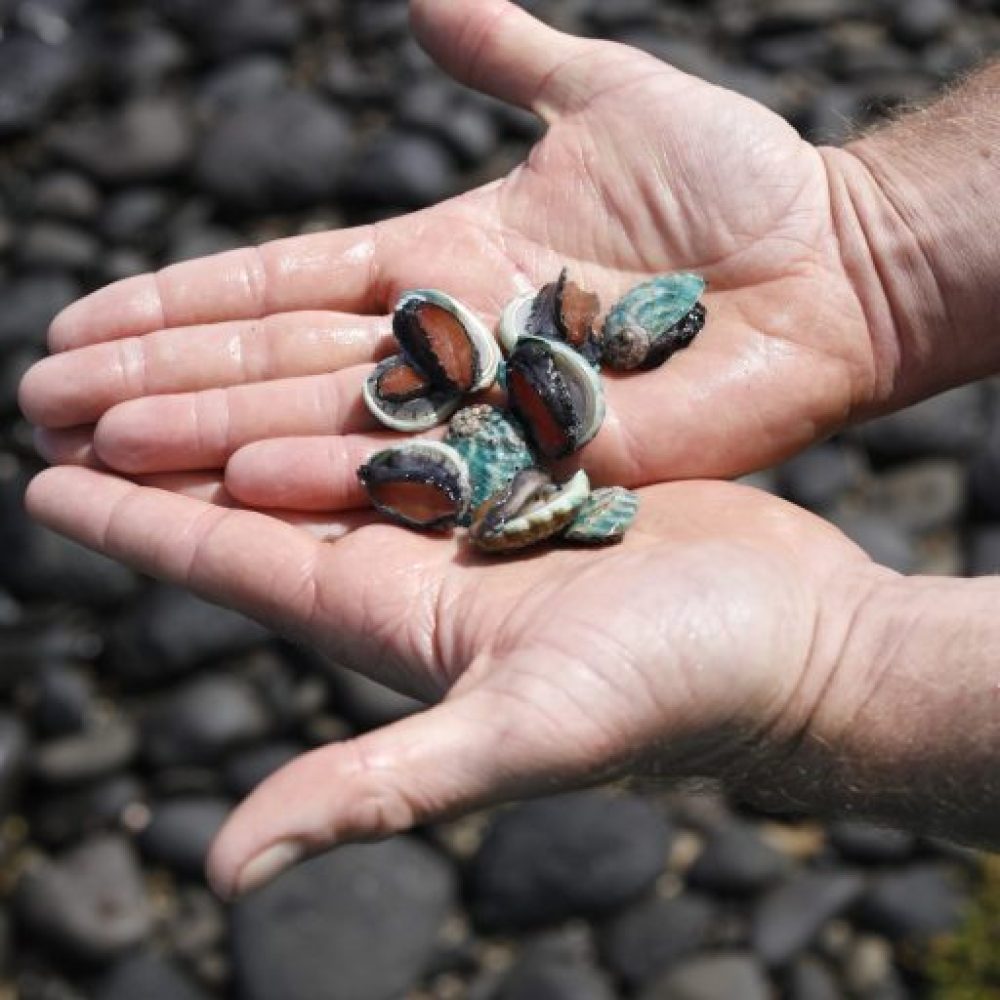 Q8A1134a-r2i1evnuzvtj92d0844el7xljumty10w80iug73kzk