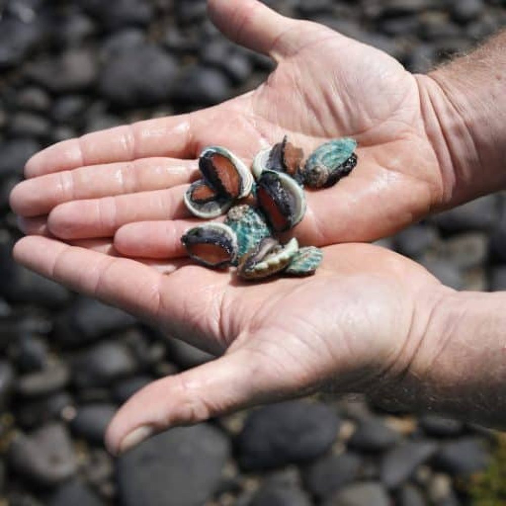 Q8A1134a-r2i1evnuzvtj92d0844el7xljumty10w80iug73kzk