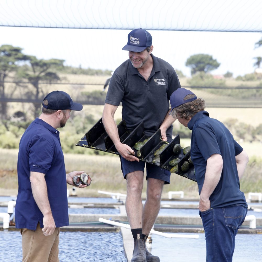 Threefriendsabs22_034a