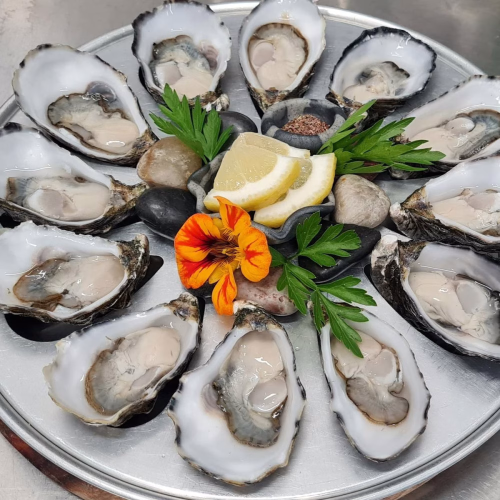 c3c373f86b70a2702f0a3b72d90dac70