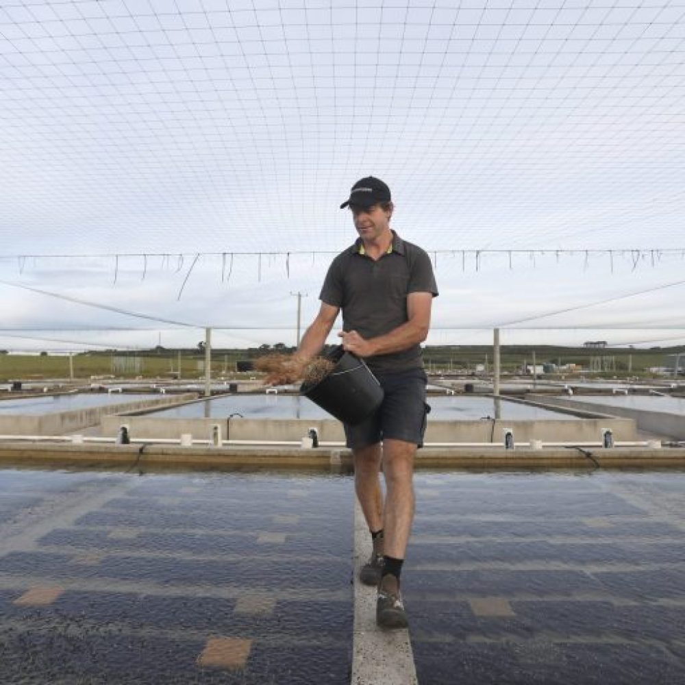 joel-feeding-r2i5c05j3f0cdfdb5m6xg3w0bh1qm2a3aim9cruosg