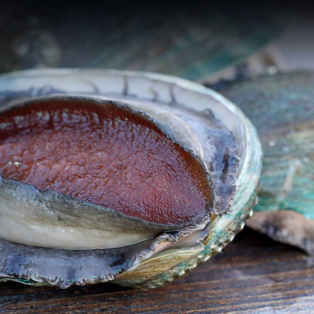 top-fish-tasmania-home-4