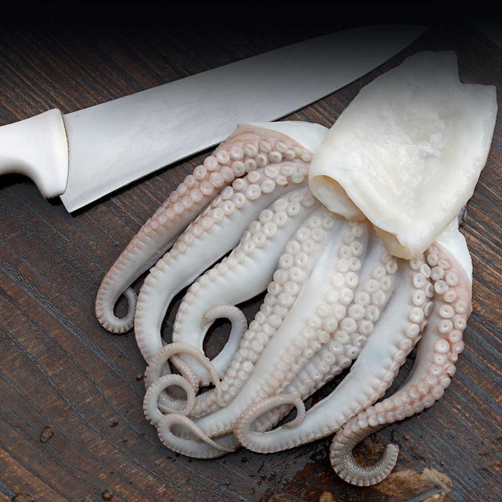 top-fish-tasmania-home-5